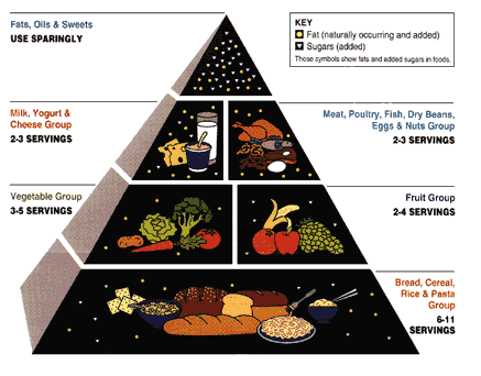 food guide, wieght loss. Image from the U.S. Department of Agriculture and 